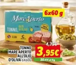 Orizzonte Tonno mare aperto all'olio d'oliva offerta