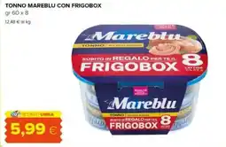 Oasi Tonno mareblu con frigobox offerta