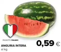 Oasi Anguria intera offerta