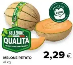 Oasi Melone retato offerta