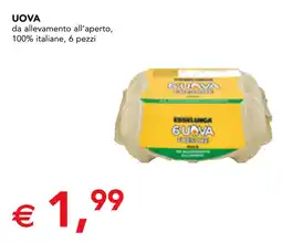 Esselunga Esselunga uova da allevamento all'aperto offerta