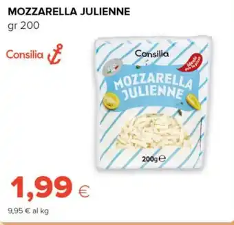 Tigre Mozzarella julienne Consilia offerta