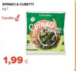 Tigre Spinaci a cubetti Consilia offerta