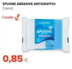 Tigre Spugne abrasive antigraffio Consilia offerta