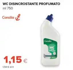 Tigre Wc disincrostante profumato Consilia offerta