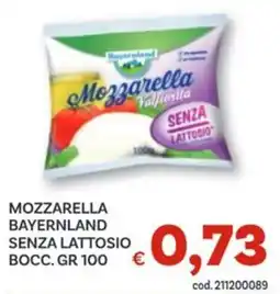 Vivo Supermercati Mozzarella bayernland senza lattosio bocc. offerta