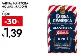 Bennet Farina manitoba MOLINO SPADONI offerta