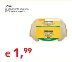 Esselunga UOVA offerta