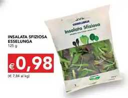 Esselunga INSALATA SFIZIOSA ESSELUNGA offerta