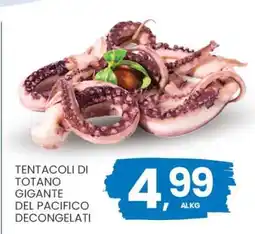 Eurospar Tentacoli di Totano Gigante del Pacifico Decongelati offerta