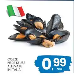 Eurospar COZZE NERE SFUSE ALLEVATE IN ITALIA offerta