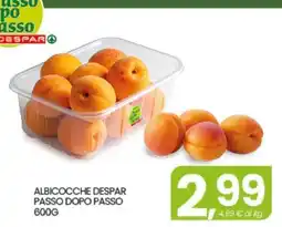 Eurospar ALBICOCCHE DESPAR PASSO DOPO PASSO 600G offerta