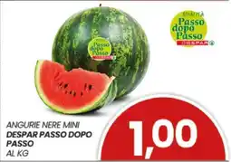 Eurospar ANGURIE NERE MINI offerta