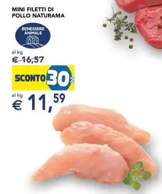 Esselunga Mini Filetti di Pollo Naturama offerta
