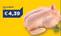 Esselunga Pollo Busto offerta