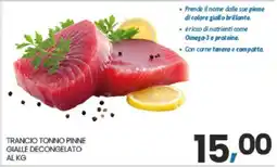 Eurospar TRANCIO TONNO PINNE GIALLE DECONGELATO AL KG offerta