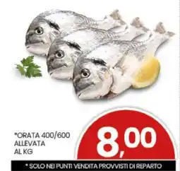 Eurospar ORATA 400-600 offerta