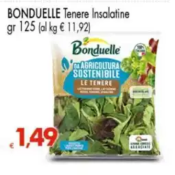Eurospar BONDUELLE Tenere Insalatine offerta