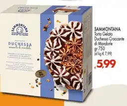 Eurospar SAMMONTANA Torta Gelato Duchessa Croccante di Mandorle offerta