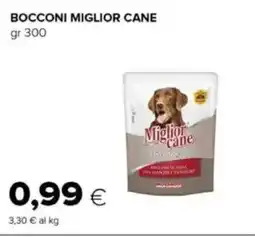 Oasi Bocconi MIGLIOR CANE offerta