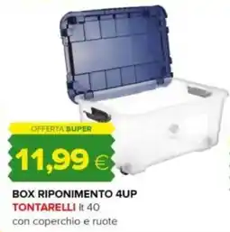 Oasi Box riponimento 4UP TONTARELLI offerta