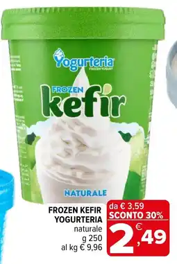 Iperal Frozen kefir YOGURTERIA offerta