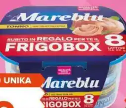 Oasi Tonno Mareblu con Frigobox offerta