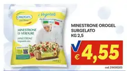 Vivo Supermercati Minestrone orogel surgelato offerta