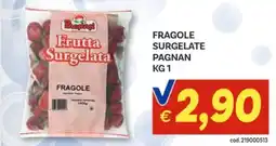 Vivo Supermercati Fragole surgelate PAGNAN offerta