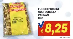Vivo Supermercati Funghi porcini cubi surgelati PAGNAN offerta