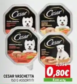 Orizzonte Cesar vaschetta offerta