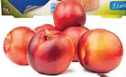 D'Italy Nettarine polpa gialla offerta