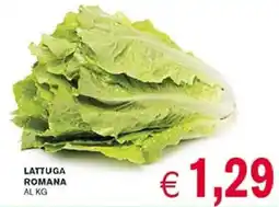D'Italy Lattuga romana offerta