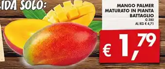 Mango palmer maturato in pianta battaglio