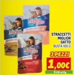 Orizzonte Straccetti miglior gatto busta offerta