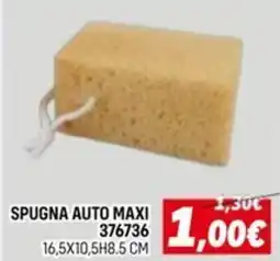 Orizzonte Spugna auto maxi 376736 offerta