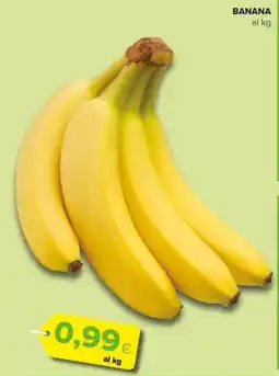 Oasi Banana offerta