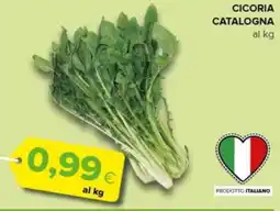 Oasi Cicoria catalogna offerta