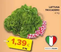 Oasi Lattuga trocadero offerta