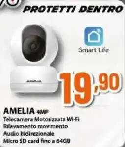 Expert Bravo protetti dentro amelia 4MP offerta