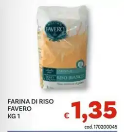 Vivo Supermercati Farina di riso FAVERO offerta