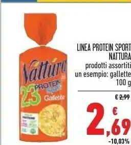 Conad Superstore Gallette di riso offerta