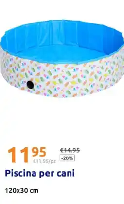 Action Piscina per cani offerta