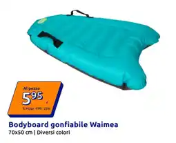 Action Bodyboard gonfiabile Waimea offerta