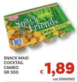 Vivo Supermercati Snack maxi cocktail CAMEO offerta