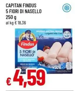 A&O Capitan findus 5 fiori di nasello offerta