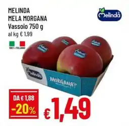 A&O Melinda mela morgana offerta