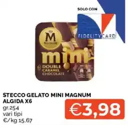 Mercatò Stecco gelato mini magnum ALGIDA X6 offerta