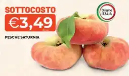Mercatò Pesche saturnia offerta