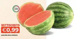 Mercatò Angurie mini crimson offerta